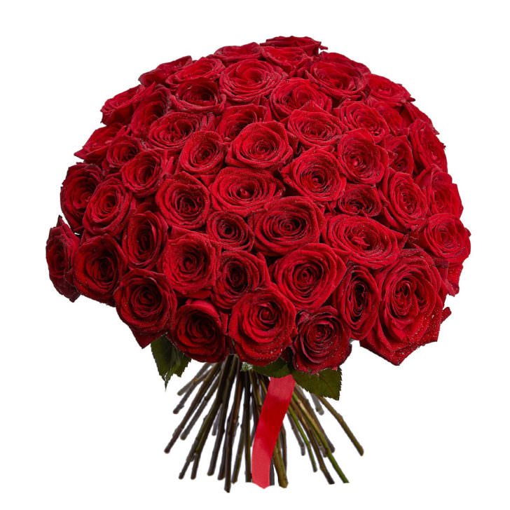Розы Красные 51 шт